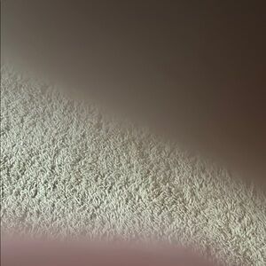 Meet your Posher, Conor